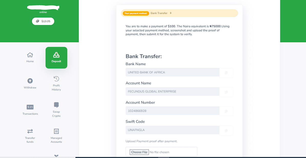 payment model 